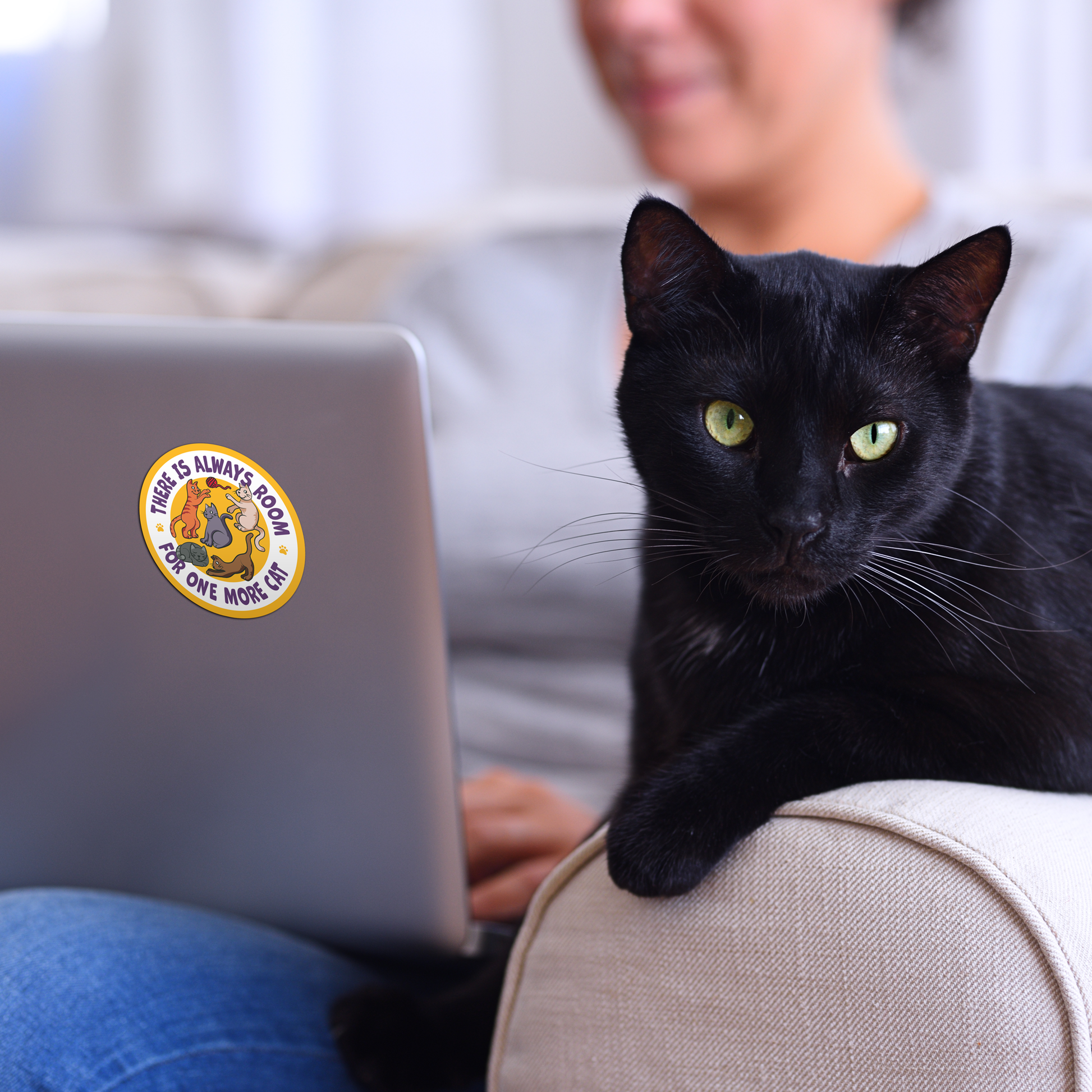 3" Sticker - There is Always Room ... Cat