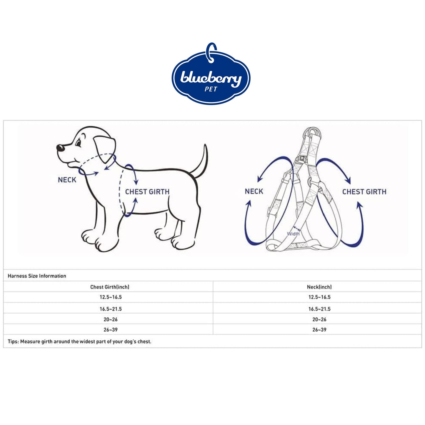🐾🌙Essentials Reflective Matching Dog Harness & Leash Set