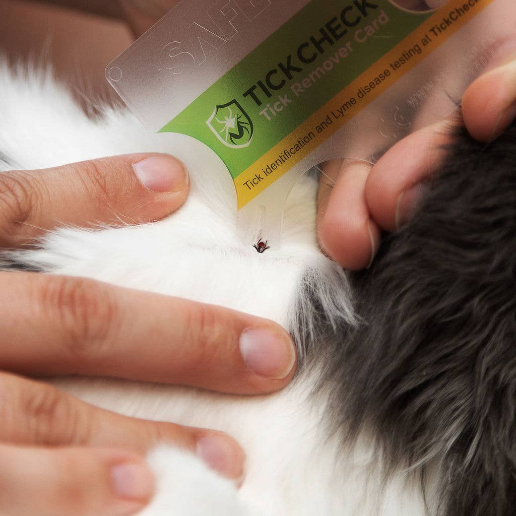 🪲 TickCheck Tick Remover Card | Wallet-Sized Tick Removal Tool 🐾