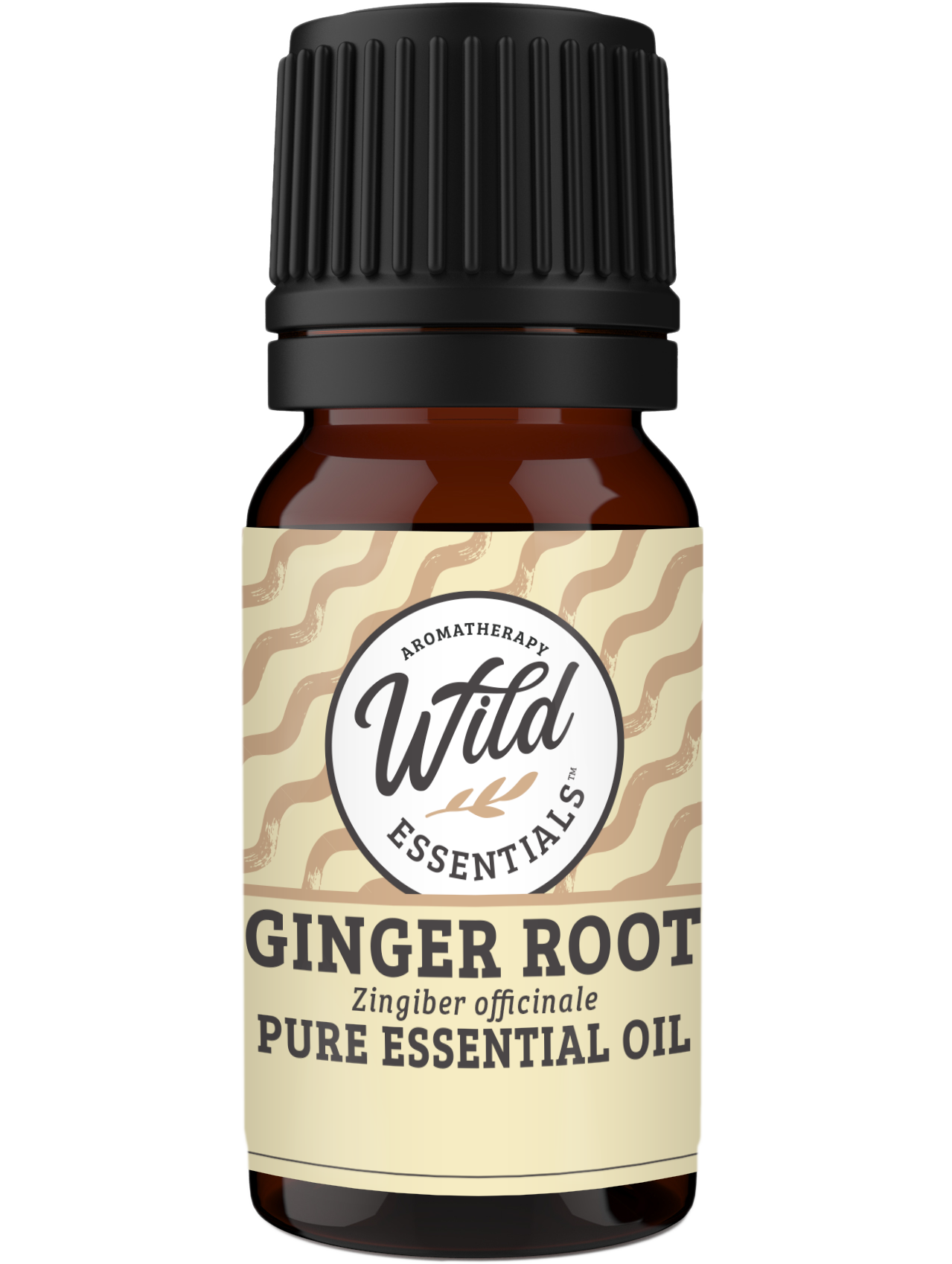 Essential Oil - Ginger - 10 ml Bottle
