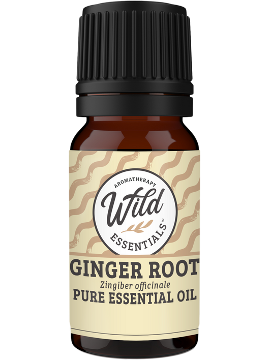 Essential Oil - Ginger - 10 ml Bottle