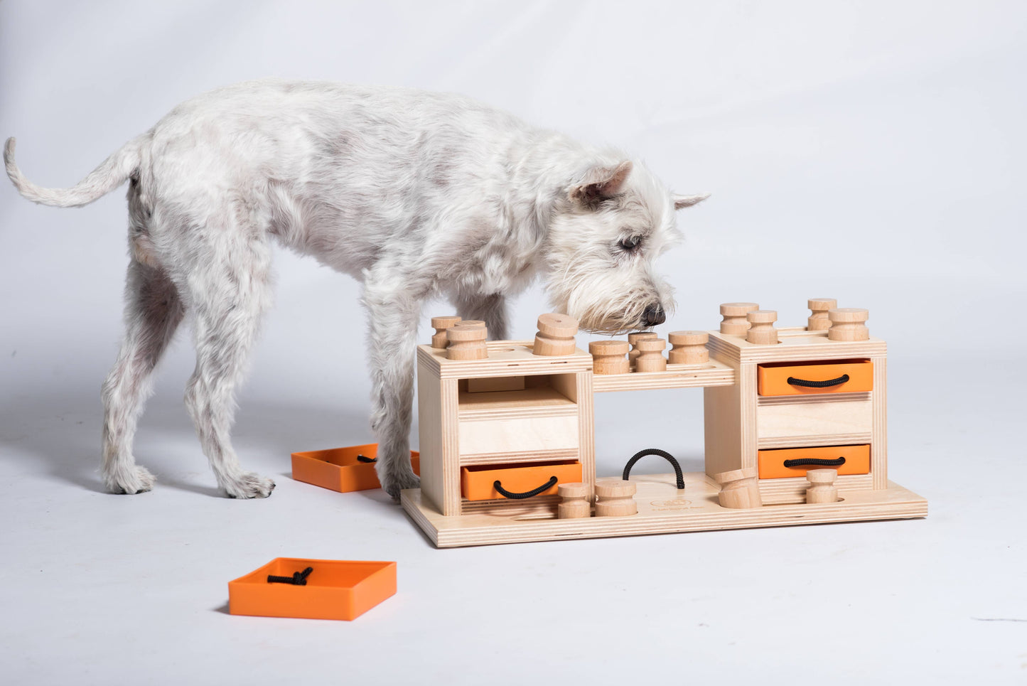 Two Towers Dog Game
