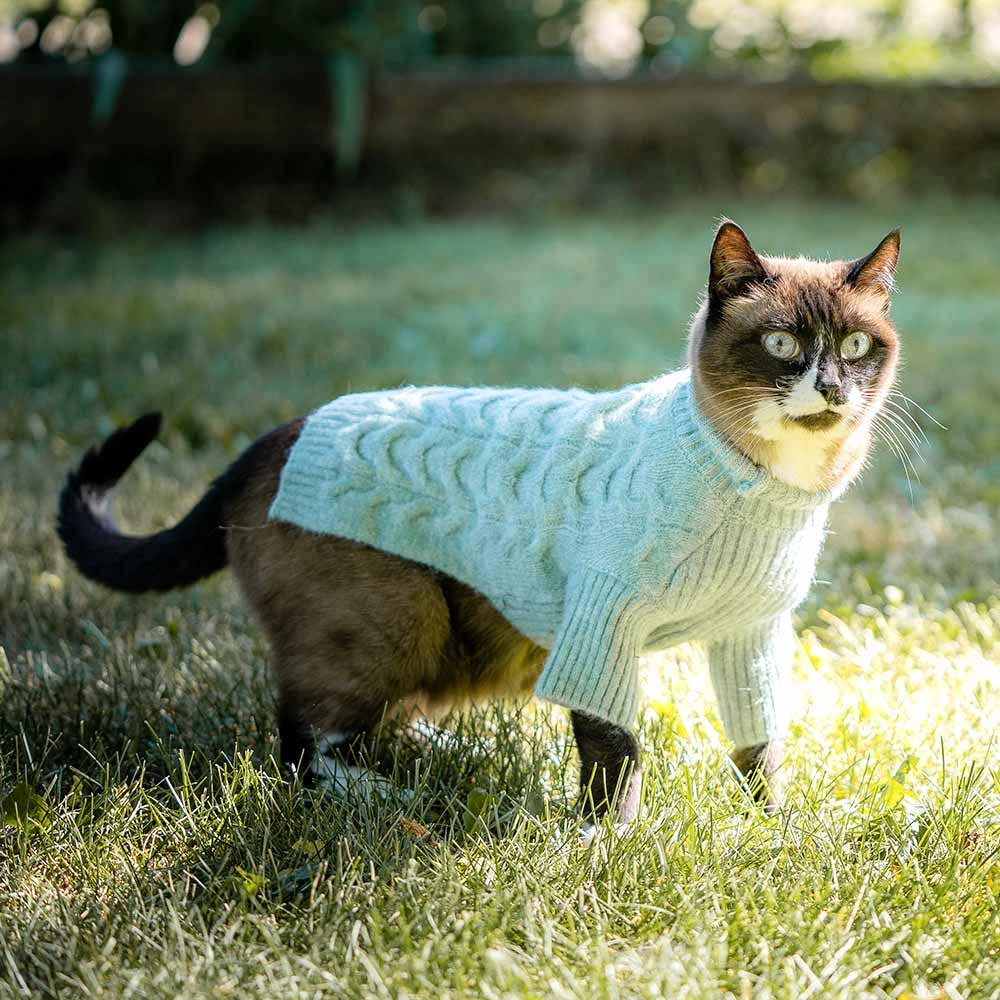 ✨🐾 UltraSoft Brushed Fuzzy Turtleneck Sweater