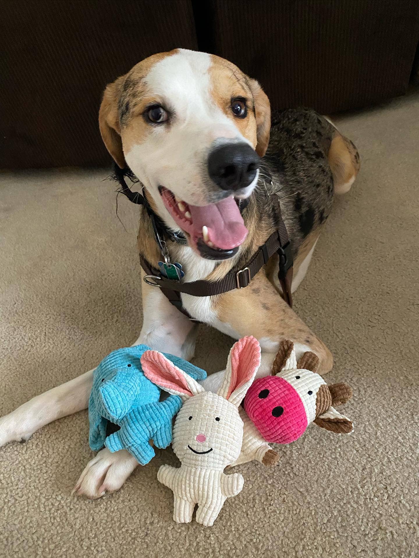Cow Small Plush Toy