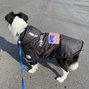 The Dog Face Pet Jacket