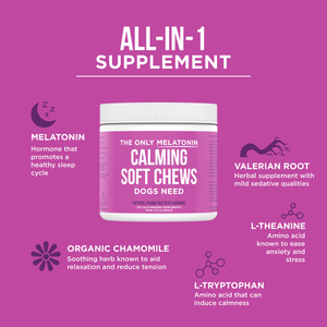 The Only Melatonin Calming Chews Dogs Need