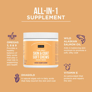 The Only Skin & Coat Soft Chews Dogs Need