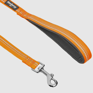 Spring Colors 3M Reflective Soft Padded Safety Leash