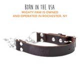 🐕 Martingale Dog Collar – Premium Leather & Stainless Steel Training Collar 🖤✨