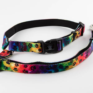 🌈🚗 Seat Belt Leash