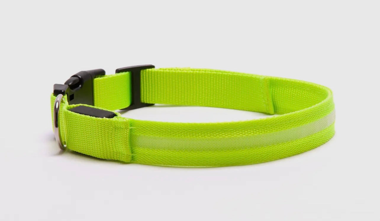 Led Safety Light-Up Dog Collar