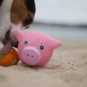 Hamlet Pig Ruff-Tex® Ball Dog Toy