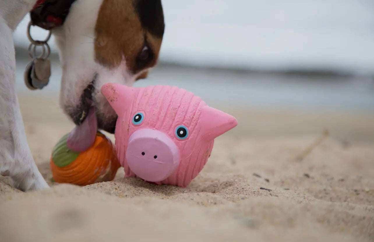 Hamlet Pig Ruff-Tex® Ball Dog Toy