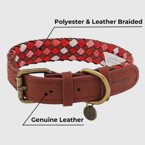 Braided Full Grain Leather Dog Collar