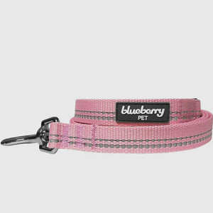 Spring Colors 3M Reflective Soft Padded Safety Leash