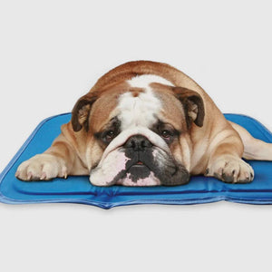 Cool Pet Pad