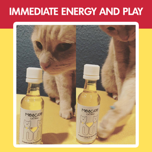 Pawty Twin Pack Cat White Wines