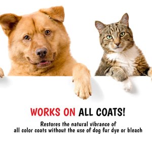 Magic Black Brightening Dog Shampoo