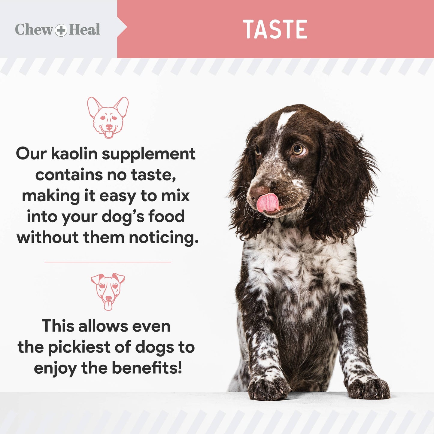 Stop the Diarrhea, Anti Diarrhea for Dogs