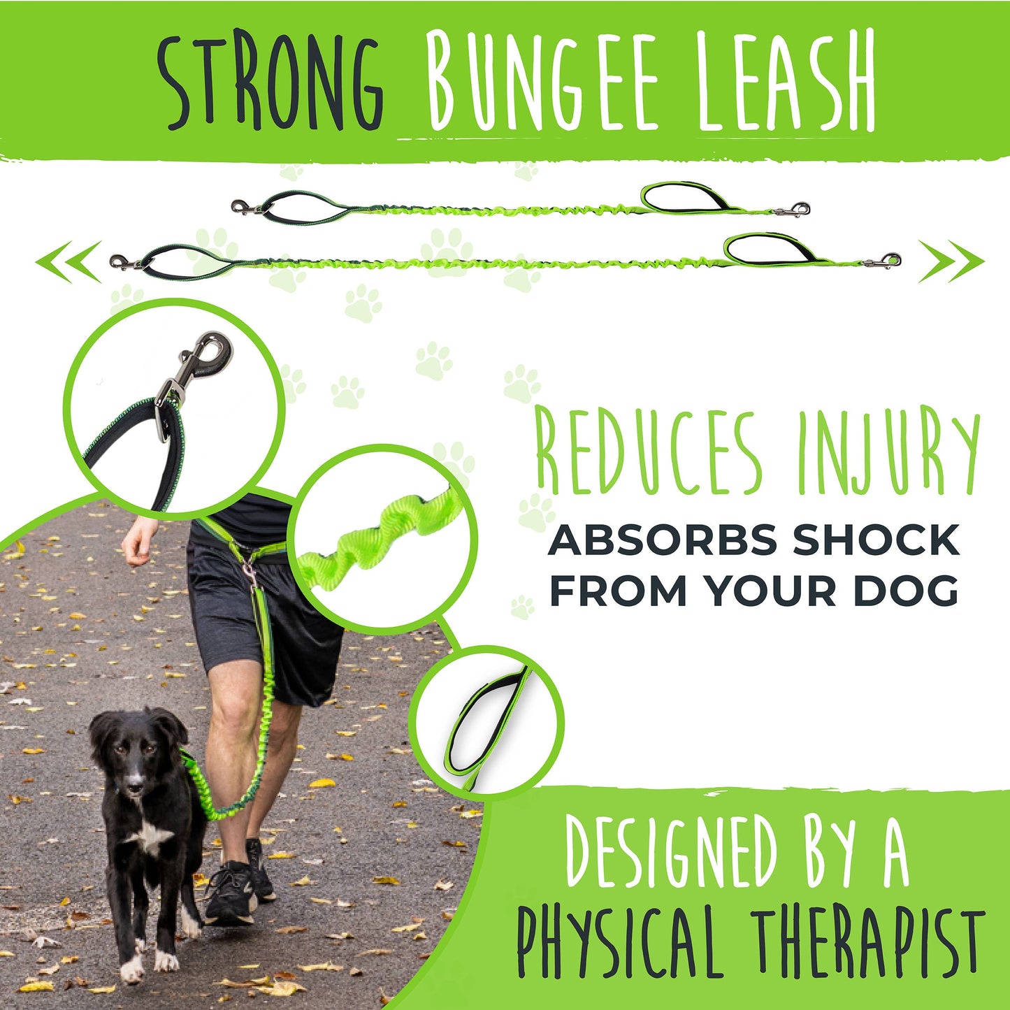 🏃♂️ Mighty Paw Hands-Free Bungee Leash Set 2.0