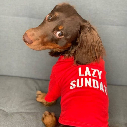 "Lazy Sunday" Graphic Dog T-Shirt - Pet Clothes