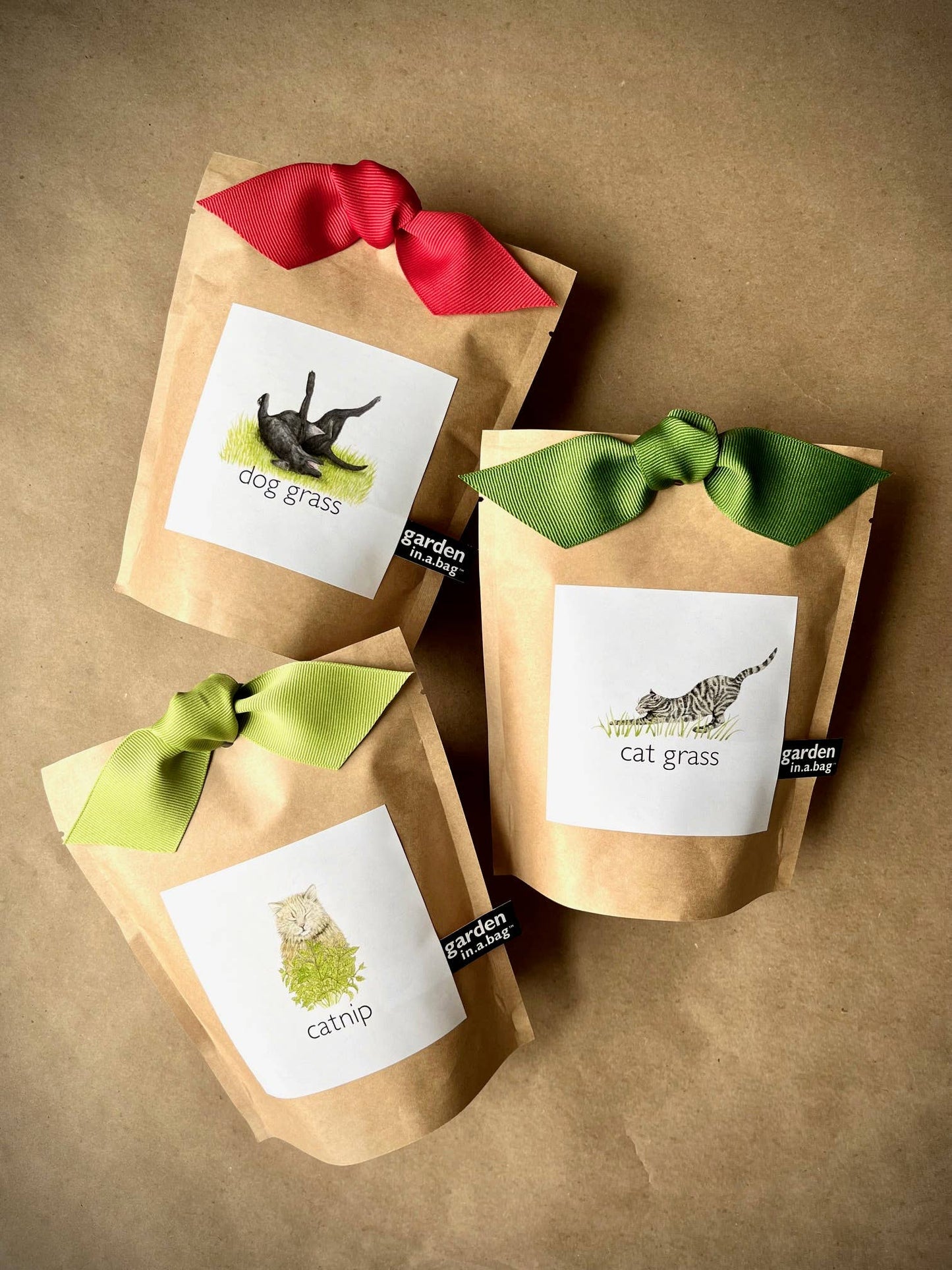 🐶🌱Garden in a Bag | Dog Grass | Spring Pet Treat Gift