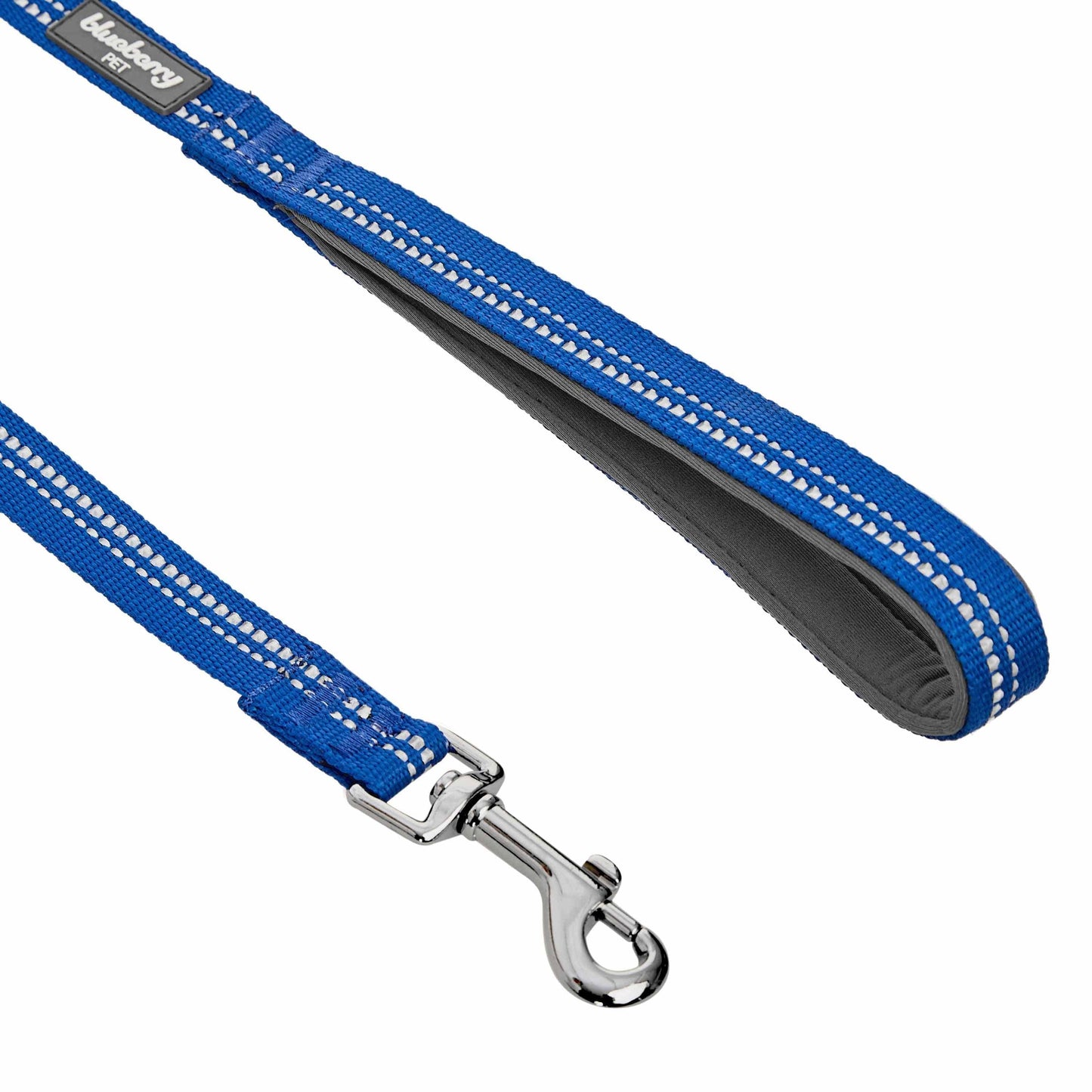 🌸 Spring Colors Reflective Soft Padded Safety Dog Leash