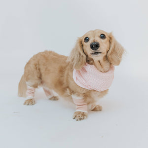Dog Bundle Infinity Scarf & Leg Warmers