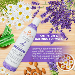 Shampoo Lavender Chamomile