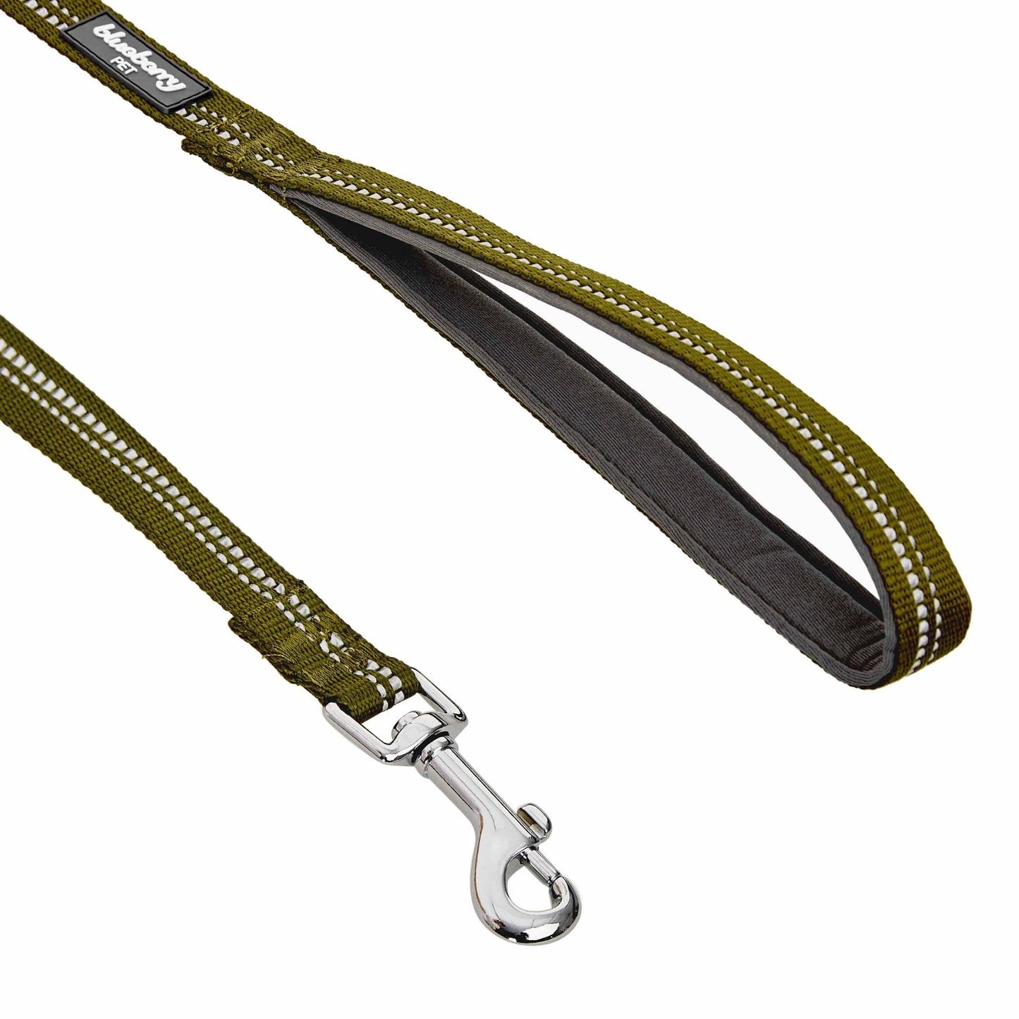 🌸 Spring Colors Reflective Soft Padded Safety Dog Leash