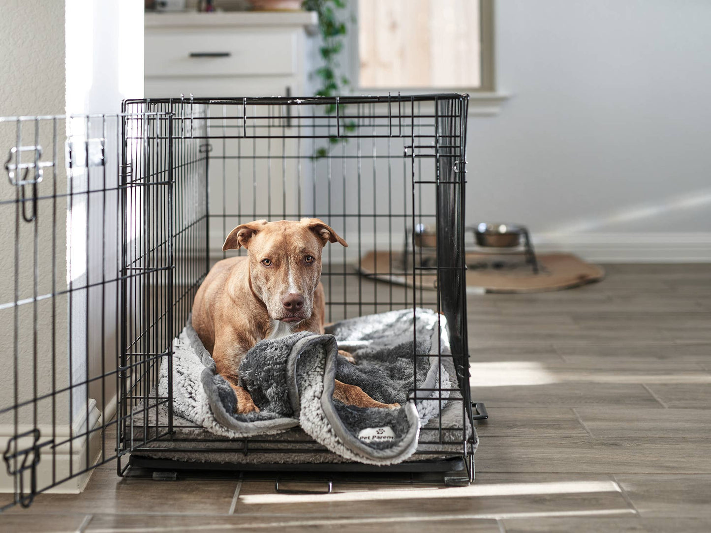 Pawtect® Waterproof Blanket