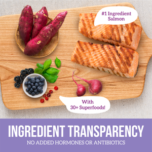 Grain Free Salmon Sweet Potato