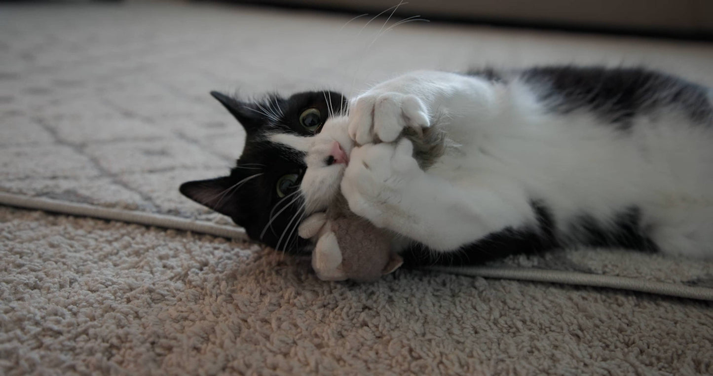 🐱🐿️ HuggleKats® Wee Fellar Squirrelie Cat Toy