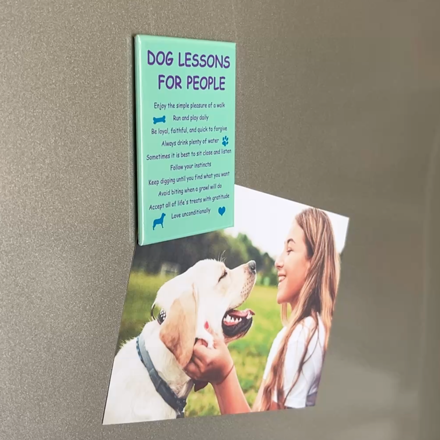 🐾✨Inspirational Pet Lover Magnet - Dog Lessons For People