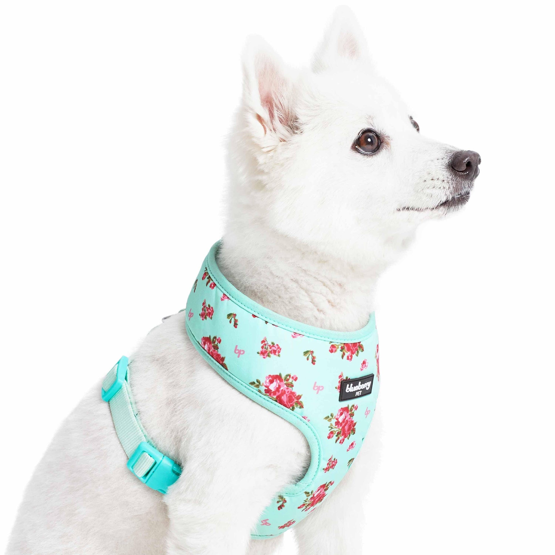 3 Colors, Petal Paws Floral Dog Harness Vest