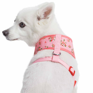 3 Colors, Petal Paws Floral Dog Harness Vest