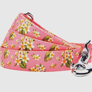 Tropical Yellow Plumeria Flower Dog Leash