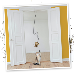 Jump 'n' Jamb Monkey or Squid Cat Toy