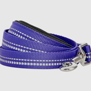 Spring Colors 3M Reflective Soft Padded Safety Leash