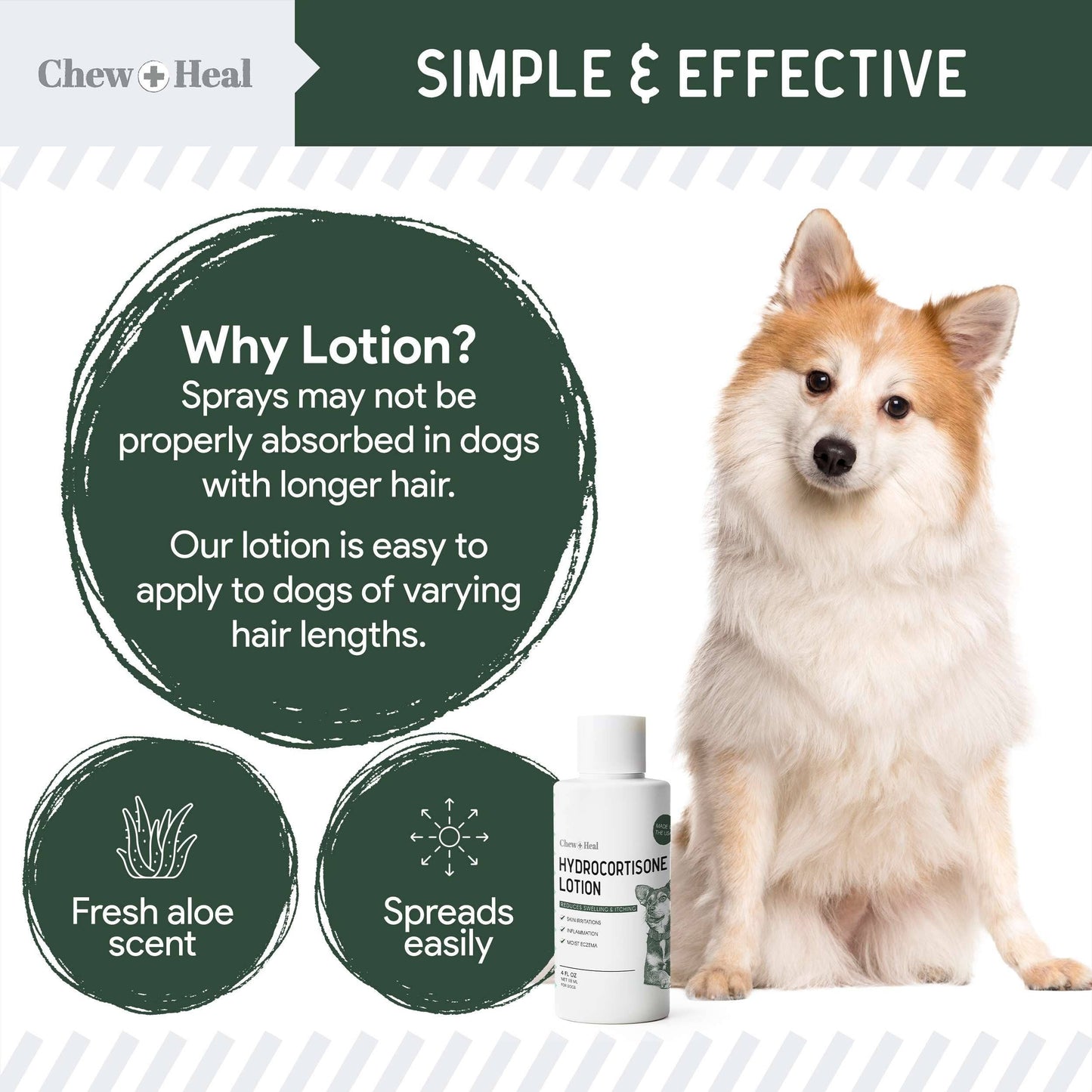 🧴🐾 Hydrocortisone Lotion for Dogs – Fast Itch Relief & Skin Soothing Care