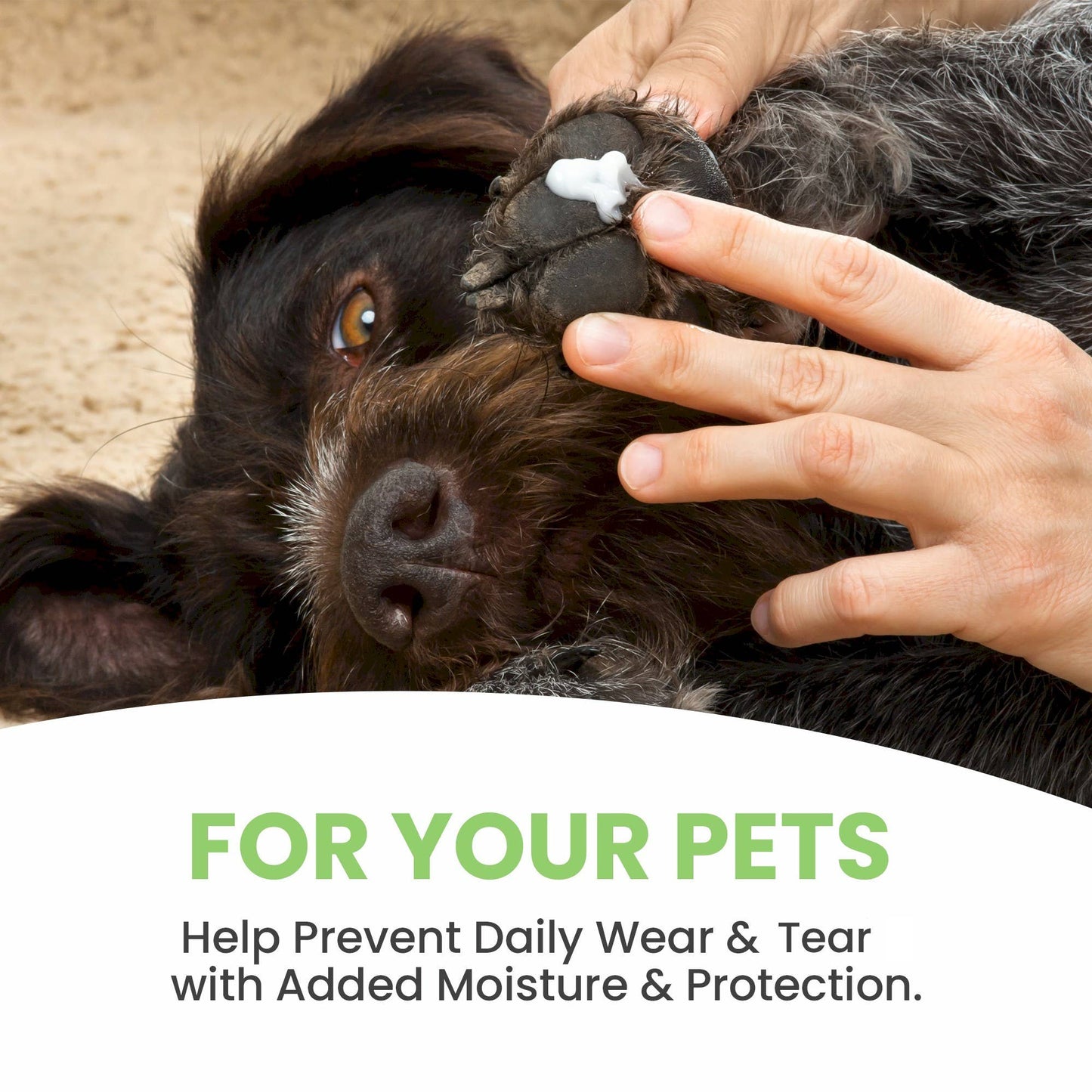 🐾✨Paw Conditioning Treatment 2oz