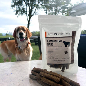 Lamb Chewy Bars, soft limited ingredient dog treat, USA