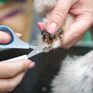 Ocean Plastic by PT Pet Nail Clipper Grooming Tool