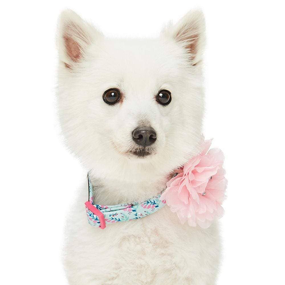 🌸 Floral Dog Collar with Pink Peony – Elegant, Feminine & Fashion-Forward 🐾