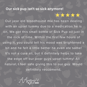 🐶🌿Sick Pup Essential Oil for the Dog w/Digestive Issues