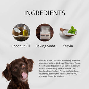 Puppy Polish Toothpaste - Filet Mignon (Beef)