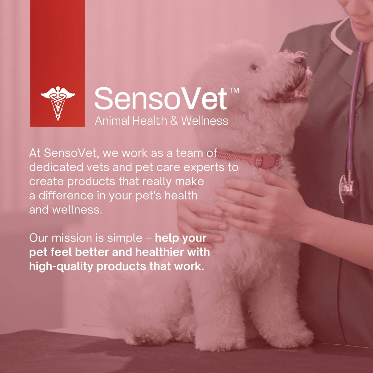🐶🐱🛁SensoVet Chlorhexidine 4% Max Strength Shampoo for Dogs & Cats