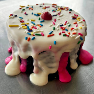 Neapolitan “ICE CREAM” Dog Cake Treat