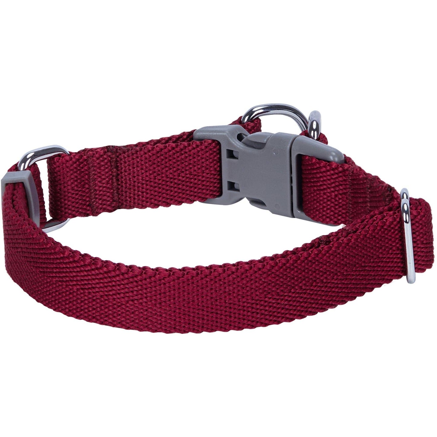 ✨ Dogs & Cats & Co. Double D-Ring Dog Collar 🐾