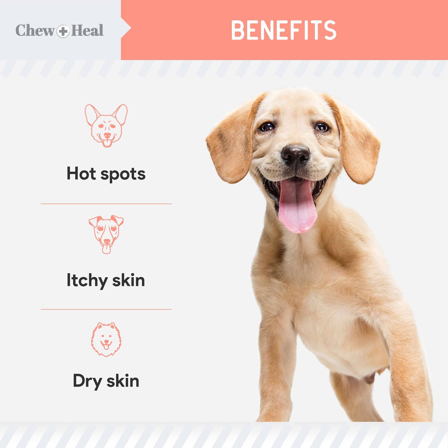 🌿🐾 Natural Hot Spot & Itching Support (2oz) – Botanical Skin Relief for Dogs